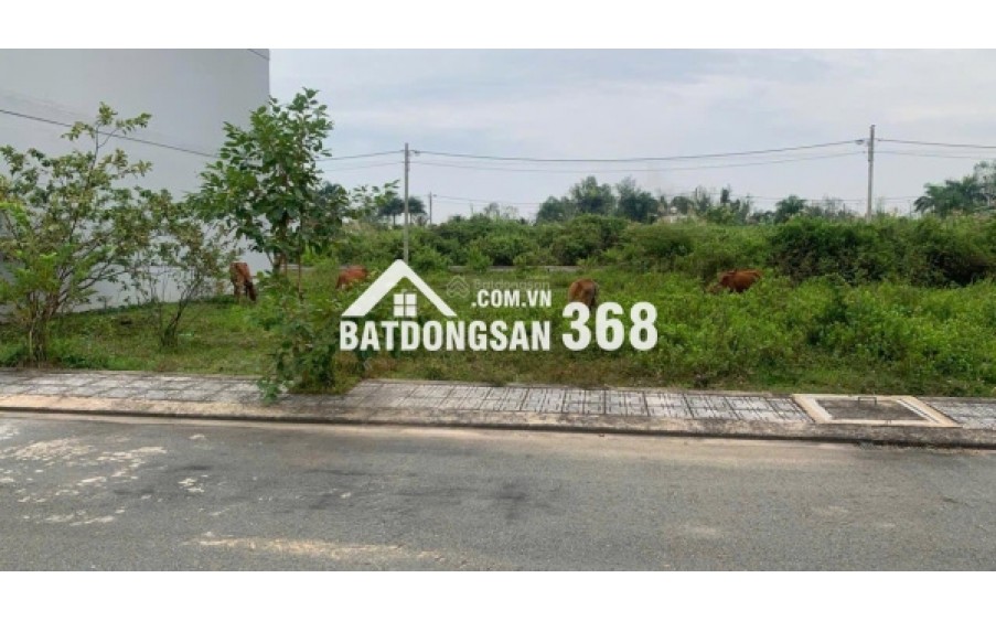 Bán đất giá rẻ chỉ 750 triệu 64m2, gần KCN Cầu Tràm, full thổ